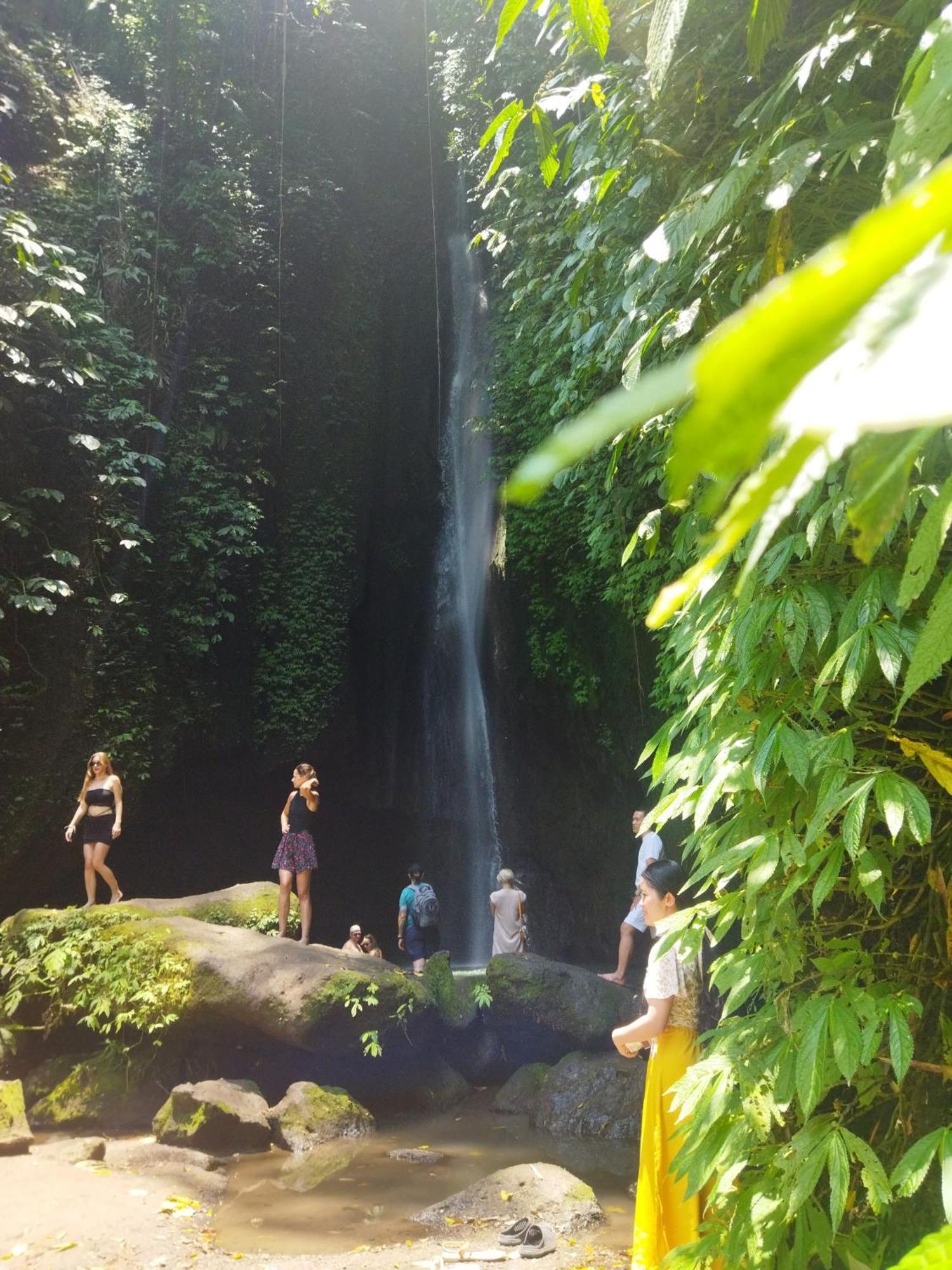 Hotel Wahwik'S House Ubud Exterior foto
