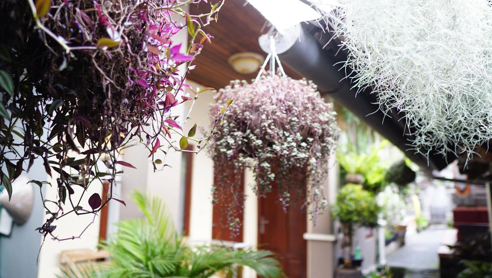 Hotel Wahwik'S House Ubud Exterior foto